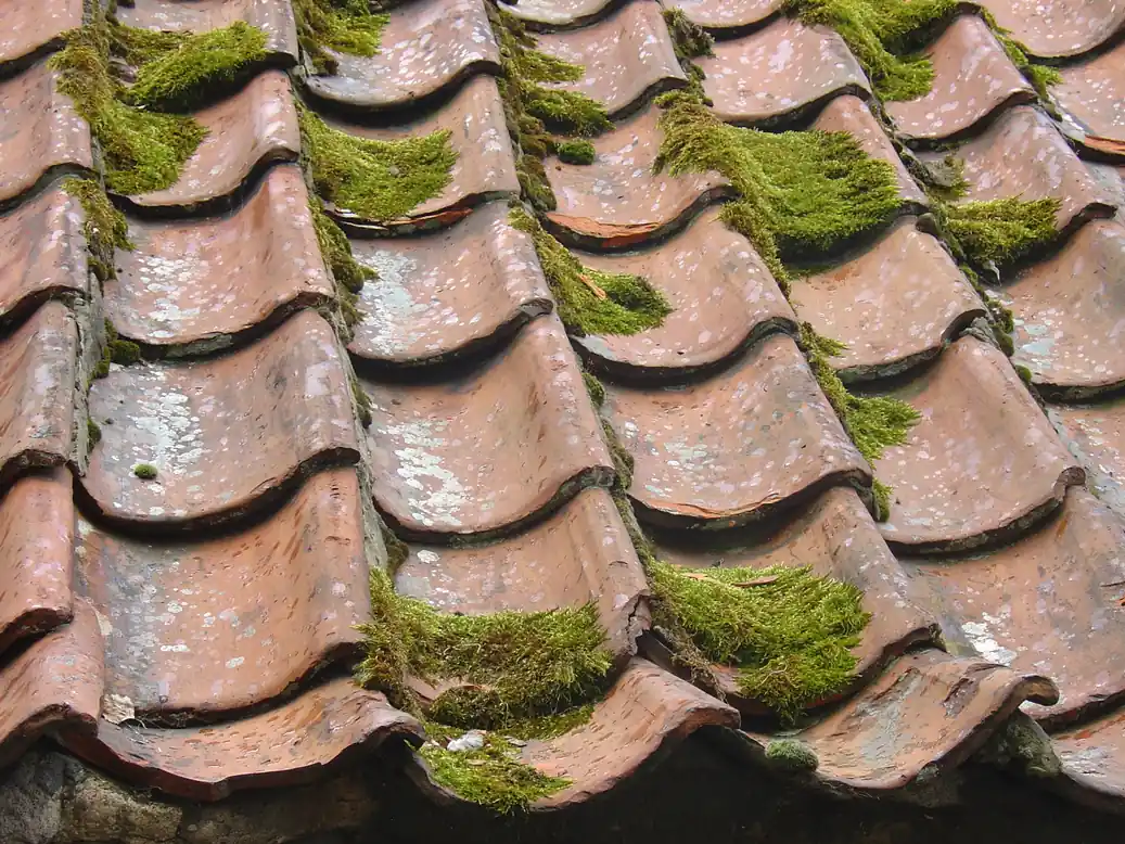 Damaged roof with missing tiles